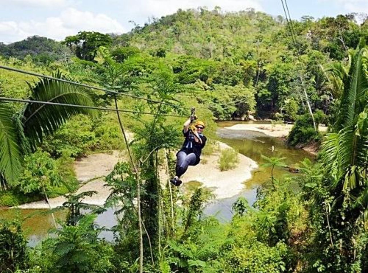 Zip Line